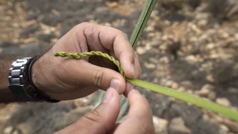 Weaving Leaves Stock Footage 122150514