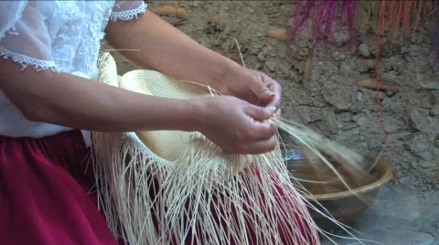 Weaving a Panama hat, Ecuador Stock-Footage 291905