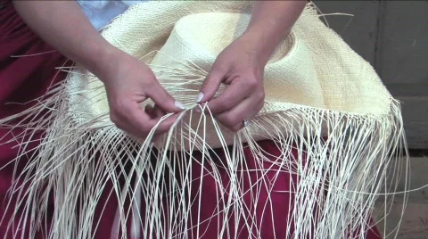 Weaving a Panama hat, Ecuador Stock Footage 291968