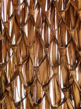 Weaving pattern of dry braid straw for beach fences, decoration, accessories Stock Photos