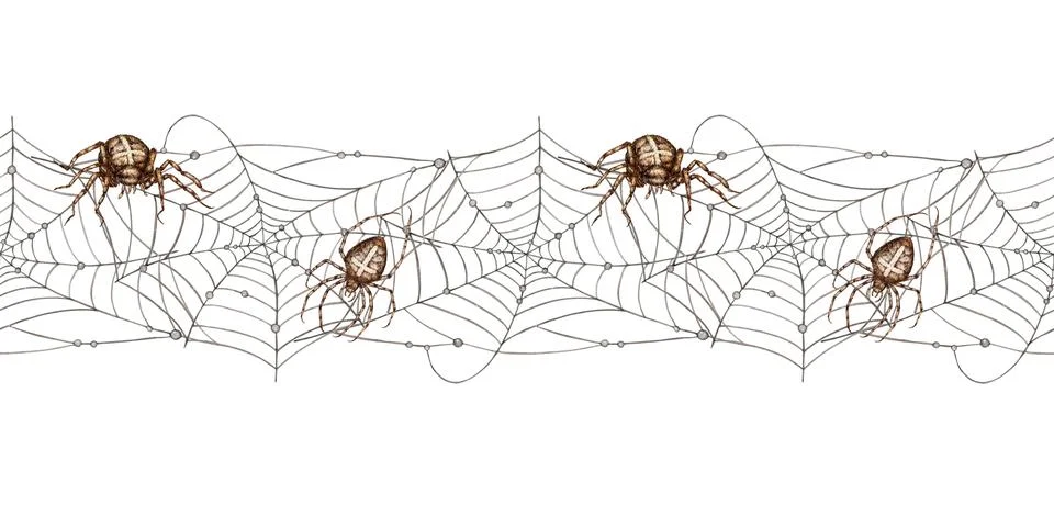 Web and spiders pattern horizontal watercolor Stock Illustration