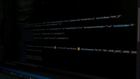 Web, application and software developement. Programming code on a monitor. Stock Footage 129560423
