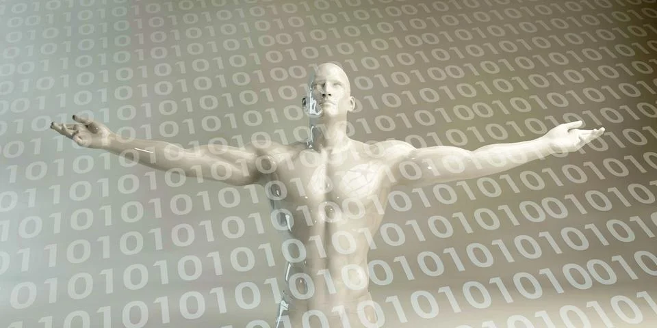 Web Application System 库存照片