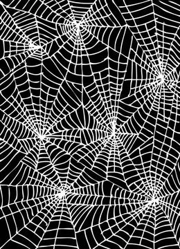 Web background Web background. Eau-forte black-and-white decorative vector... Stock Photos