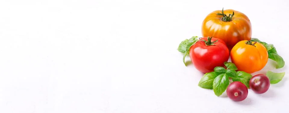 Web banner with assorted multicolored tomatoes and basil on white table Stock Photos