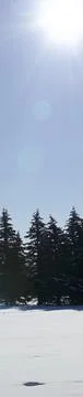 Web banner of the footpath with deep snow for a winter weather concept. Stock Photos