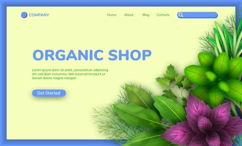 Web banner with realistic fresh herbs on white and blue background. Popular Stock Illustration