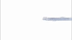 Web Browser Stock After Effects