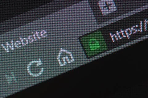 Web browser closeup on LCD with secure https url and visible pixels Stock Photos