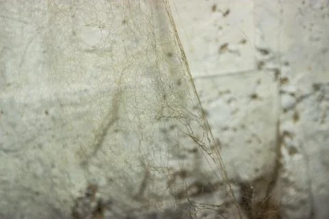 The web is closing. Web in the ceiling light Stock Photos