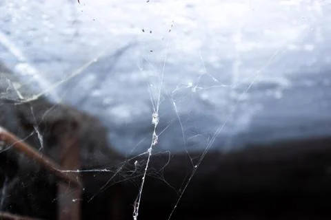 The web is closing. Web in the ceiling light Stock Photos