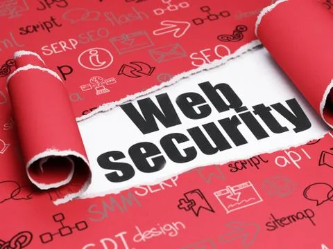 Web design concept: black text Web Security under the piece of  torn paper 库存插图