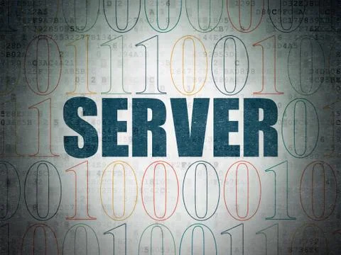 Web design concept: Server on Digital Data Paper background Stock-Illustration