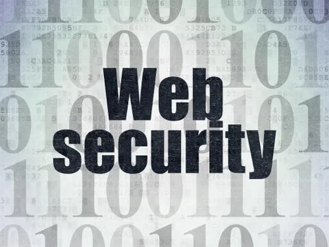 Web design concept: Web Security on Digital Paper background Stock Illustration