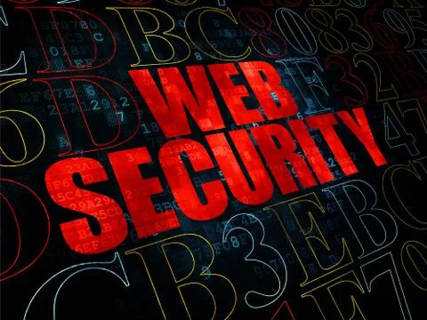 Web design concept: Web Security on Digital background Stock Illustration