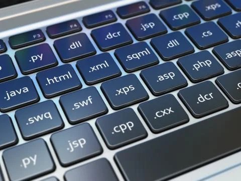 Web design development concept, Programming or SEO  termnes on the laptop key Stock Illustration