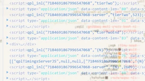 Web develope code animation. code program for development. Video stock 229109706