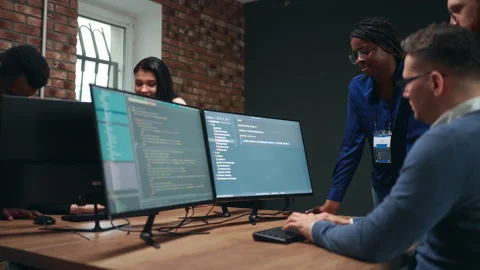 Web development and data engineering company, multiethnic team of men and women Stock Footage 233729949