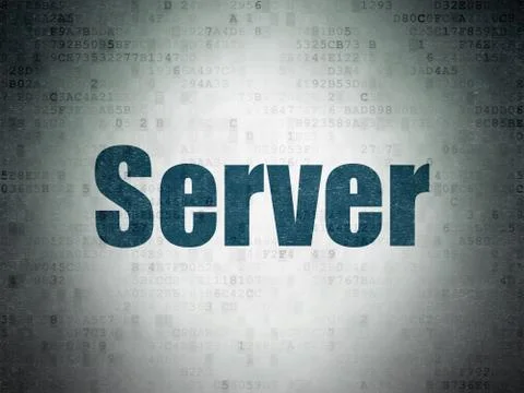 Web development concept: Server on Digital Data Paper background 库存插图