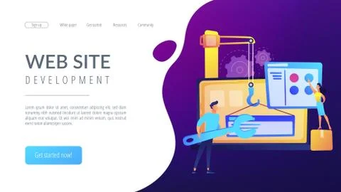 WEB development concept vector illustration 스톡 일러스트