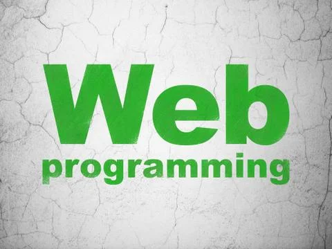 Web development concept: Web Programming on wall background Stock Illustration