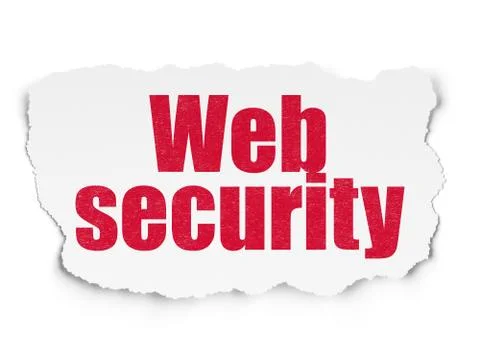 Web development concept: Web Security on Torn Paper background 库存插图