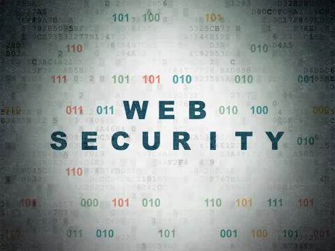 Web development concept: Web Security on Digital Data Paper background 库存插图