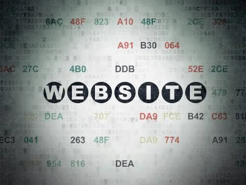 Web development concept: Website on Digital Data Paper background 库存插图