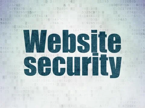 Web development concept: Website Security on Digital Data Paper background 库存插图