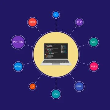 Web development infographic. 스톡 일러스트