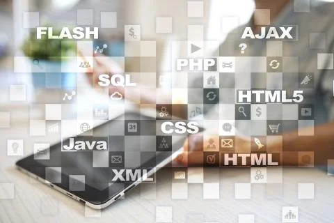 Web development. Programming. Internet and technology concept. 写真素材