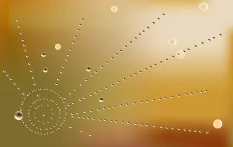 Web in drops of dew against 스톡 일러스트