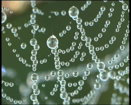 Web  Vídeo Stock 566519