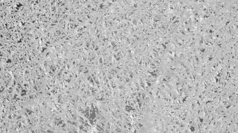 Web in hoarfrost Stock Footage 68682479
