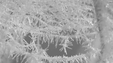 Web in hoarfrost Stock Footage 68693069