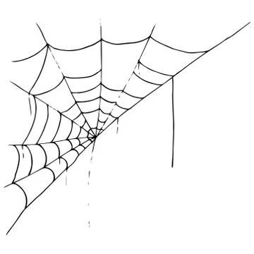 Web icon. Vector illustration of a spider web. Net, web spider hand drawn. Stock-Illustration