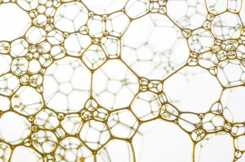 Web Illustrazione stock