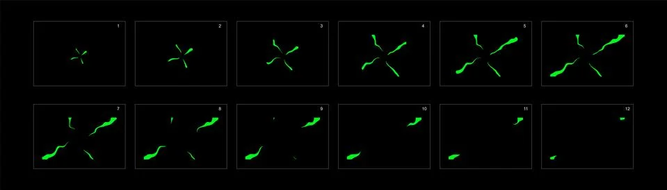 Web Stock Illustration