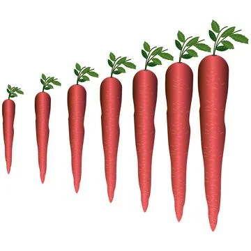 Web Stock Illustration