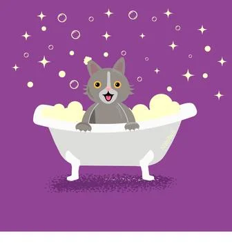 Web Stock Illustration