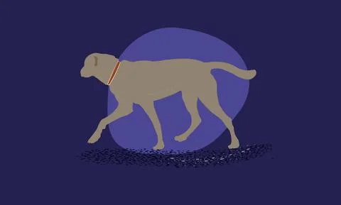 Web Stock Illustration