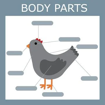 Web Stock Illustration