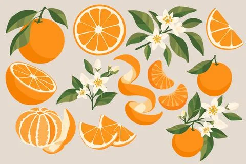 Web Stock Illustration
