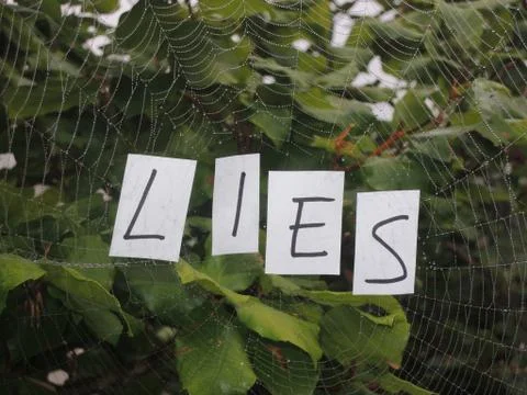 Web of lies Stock Photos