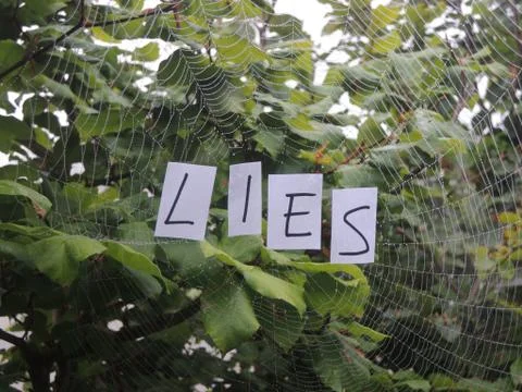 Web of lies Stock Photos