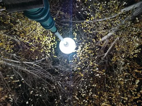 Web of Light Stock Photos