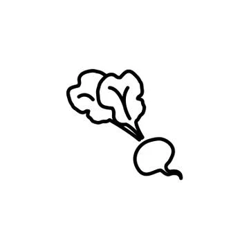Web line icon. Beet, beetroot black on white background Stock Illustration
