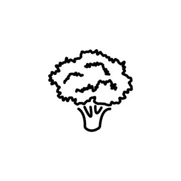 Web line icon. Broccoli black on white background Illustrazione stock