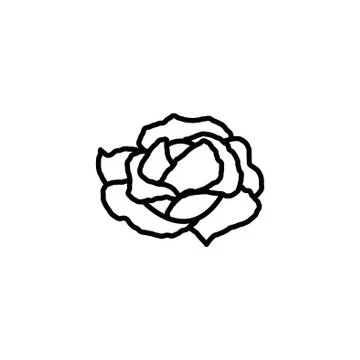 Web line icon. Cabbage black on white background Stock Illustration