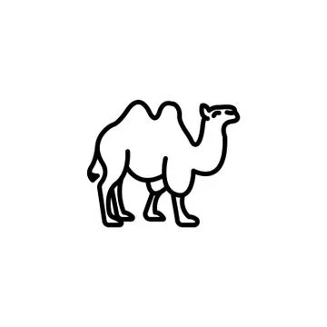 Web line icon. Camel; wild animals black on white background Stock Illustration